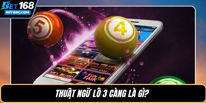 Thuật ngữ lô 3 càng là gì? 